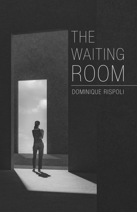 Cover image for book The Waiting Room