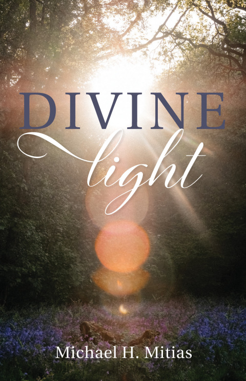 Cover image for book Divine Light