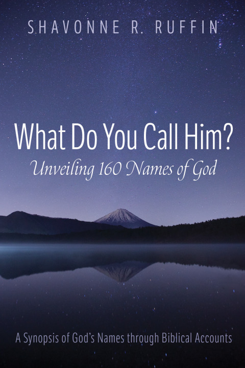 Cover image for book What Do You Call Him? Unveiling 160 Names of God