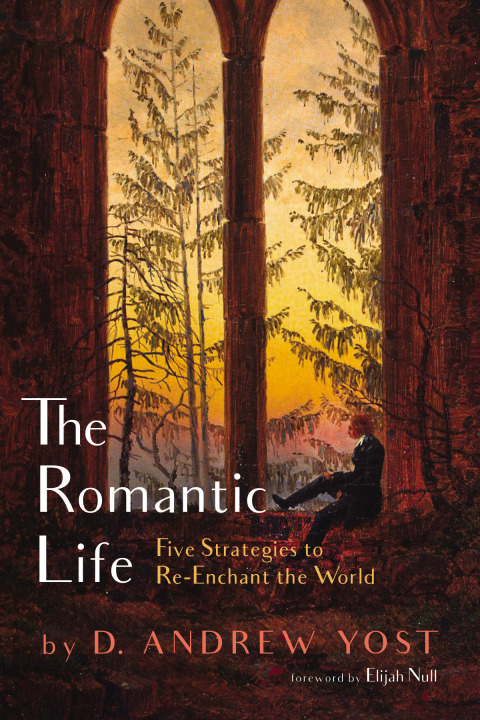 Cover image for book The Romantic Life