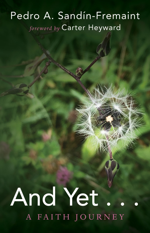 Cover image for book And Yet . . .