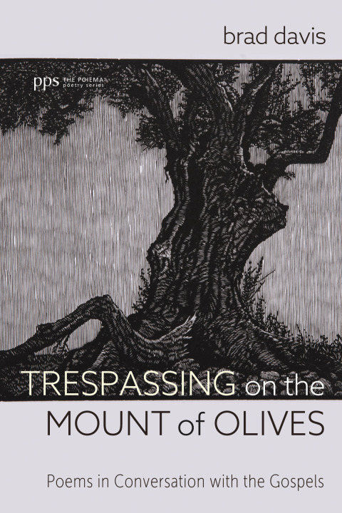 Cover image for book Trespassing on the Mount of Olives