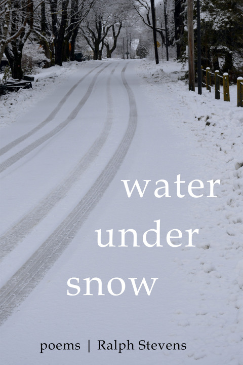 Cover image for book Water under Snow