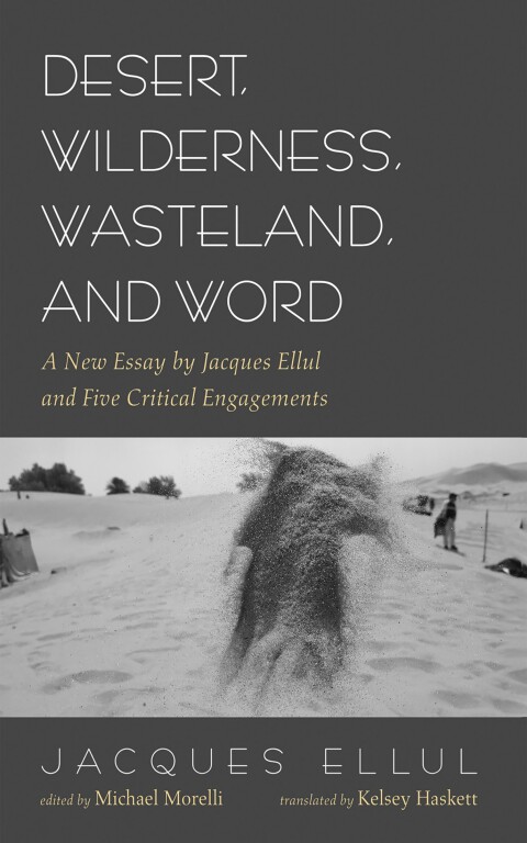 Cover image for book Desert, Wilderness, Wasteland, and Word