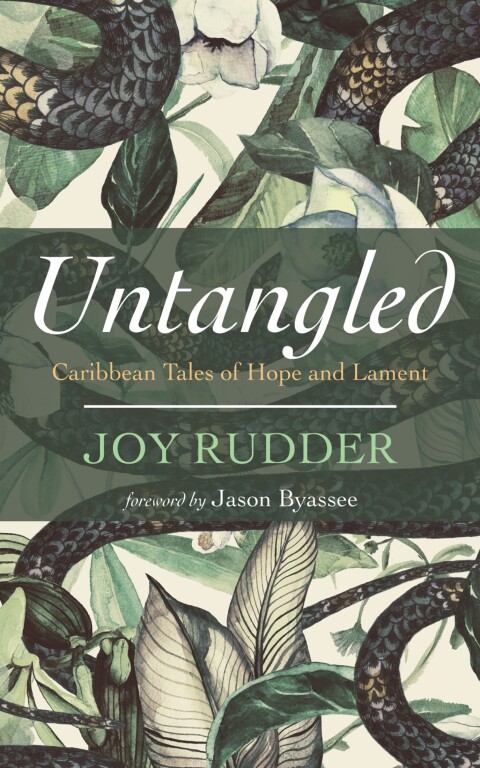 Cover image for book Untangled