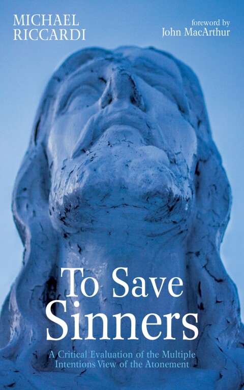 Cover image for book To Save Sinners