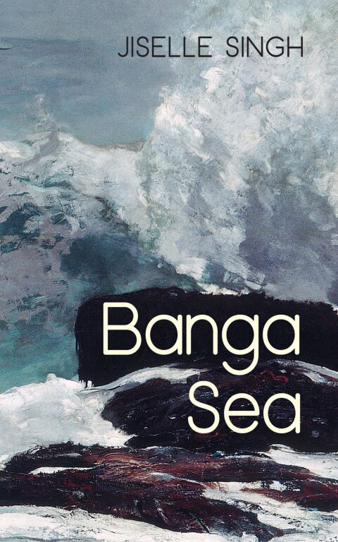 Cover image for book Banga Sea