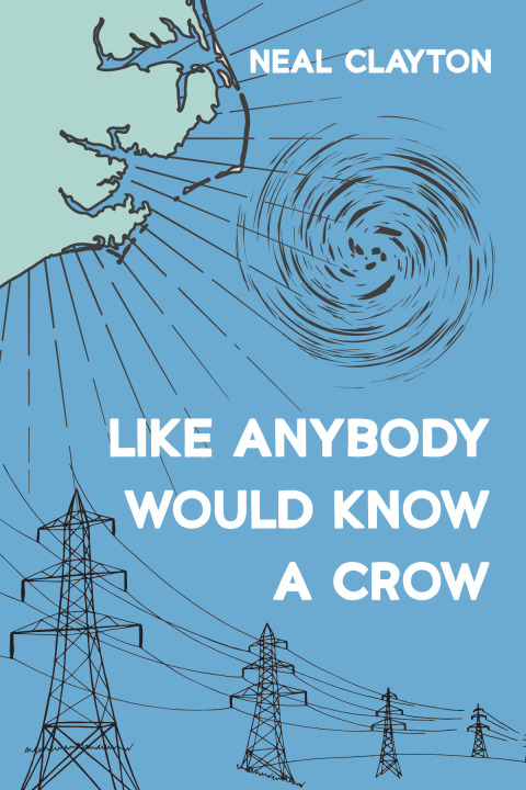 Cover image for book Like Anybody Would Know a Crow