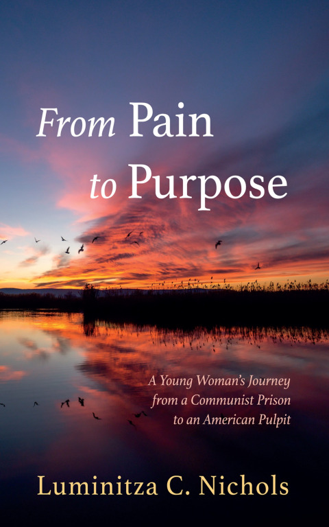 Cover image for book From Pain to Purpose