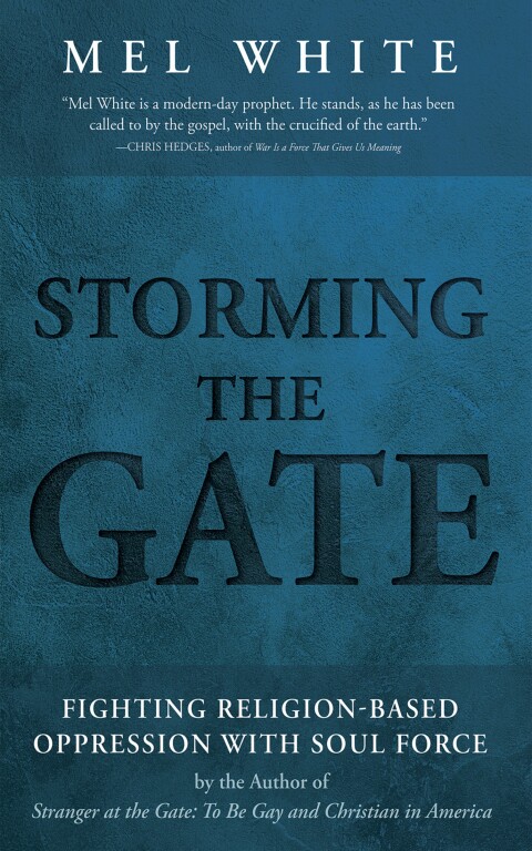 Cover image for book Storming the Gate