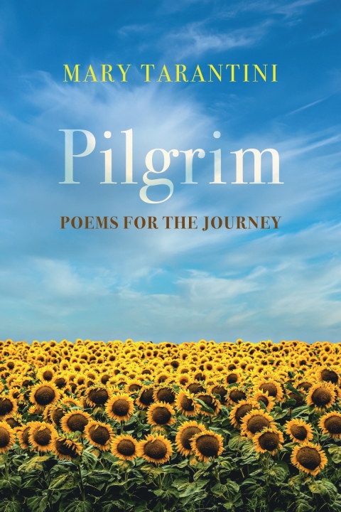 Cover image for book Pilgrim
