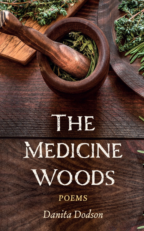 Cover image for book The Medicine Woods