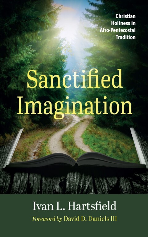 Cover image for book Sanctified Imagination