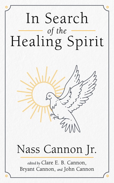 Cover image for book In Search of the Healing Spirit
