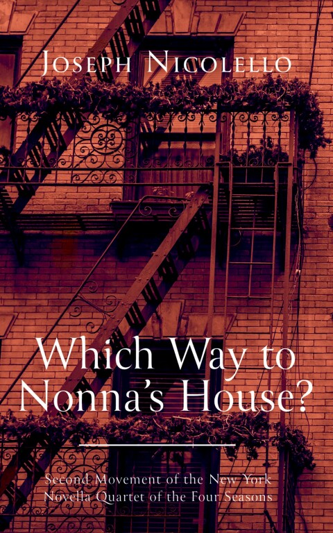 Cover image for book Which Way to Nonna’s House?