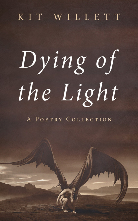 Cover image for book Dying of the Light