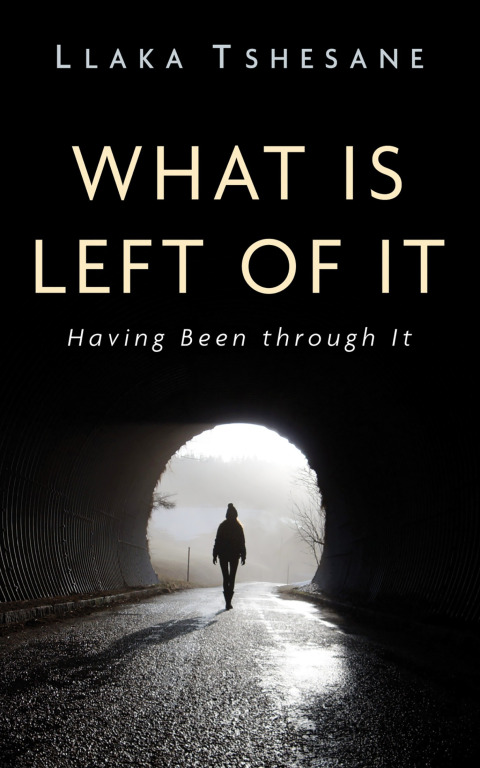 Cover image for book What Is Left of It