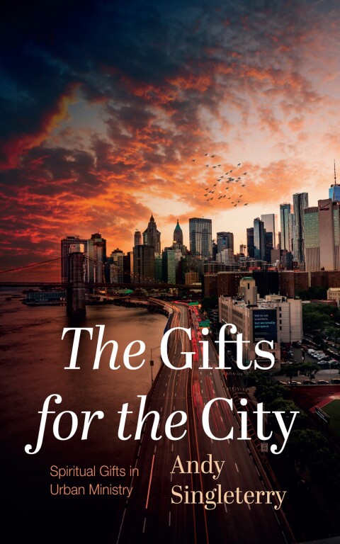 Cover image for book The Gifts for the City