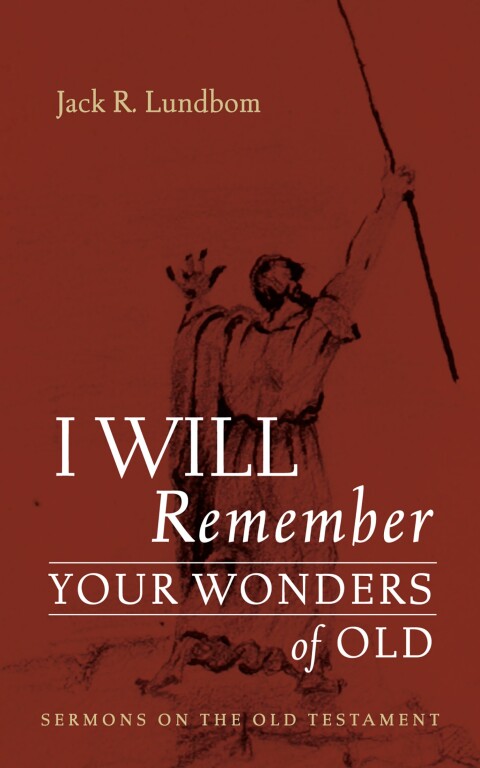 Cover image for book I Will Remember Your Wonders of Old