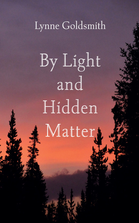 Cover image for book By Light and Hidden Matter