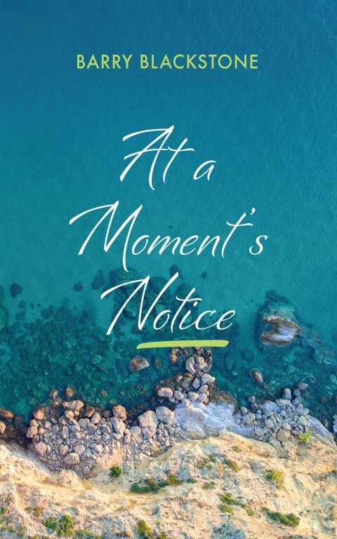 Cover image for book At a Moment’s Notice