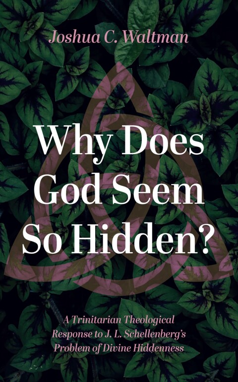 Cover image for book Why Does God Seem So Hidden?
