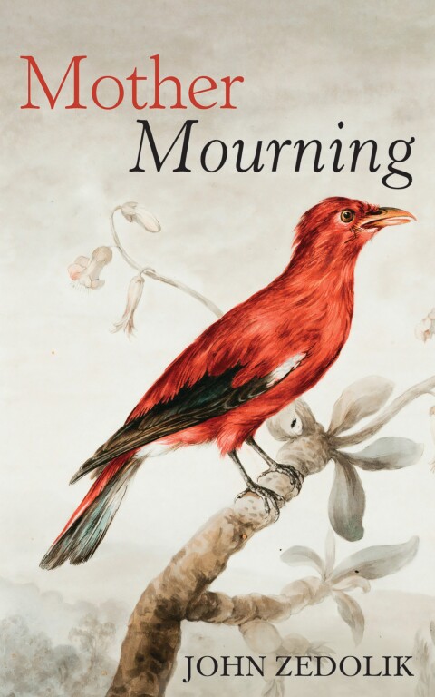 Cover image for book Mother Mourning