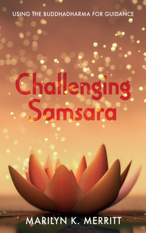 Cover image for book Challenging Samsara