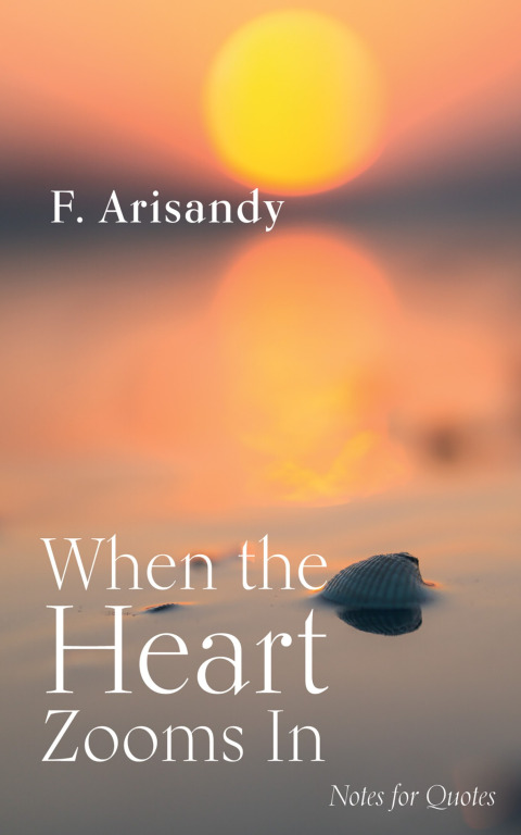 Cover image for book When the Heart Zooms In