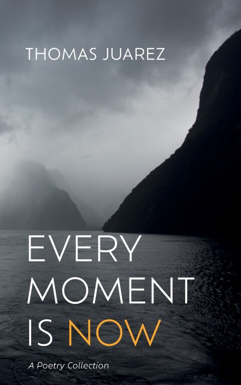Cover image for book Every Moment Is Now