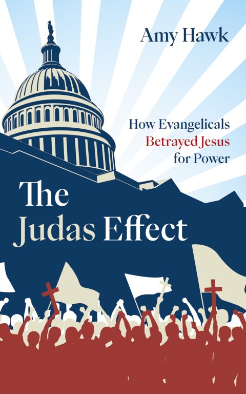 Cover image for book The Judas Effect