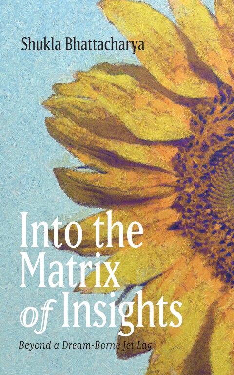 Cover image for book Into the Matrix of Insights