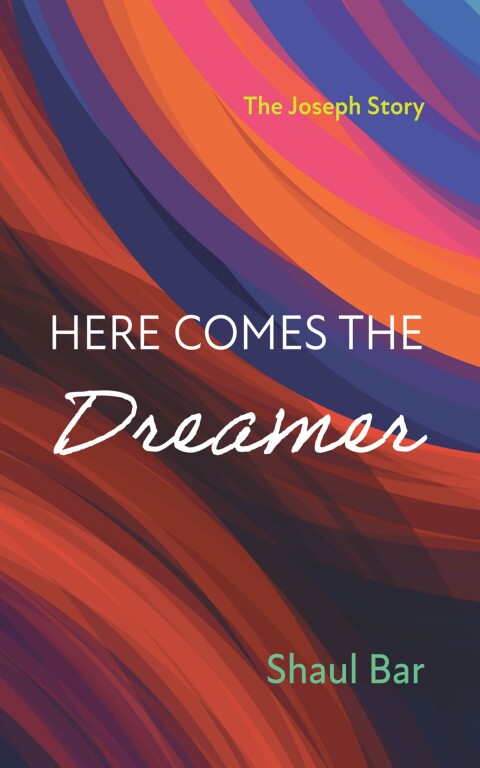 Cover image for book Here Comes the Dreamer