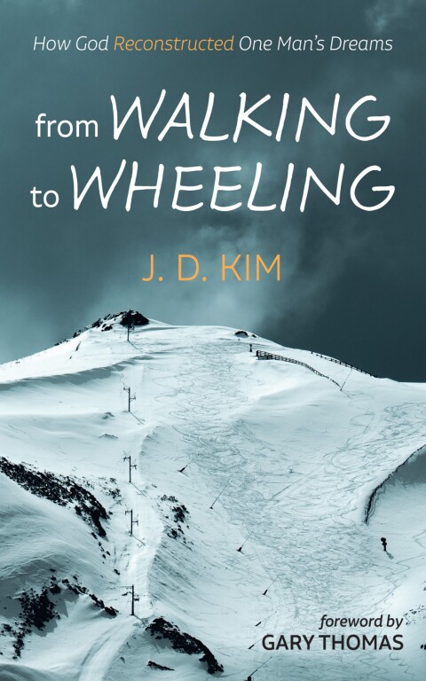 Cover image for book From Walking to Wheeling