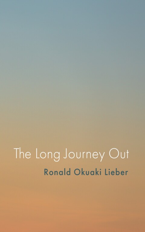 Cover image for book The Long Journey Out