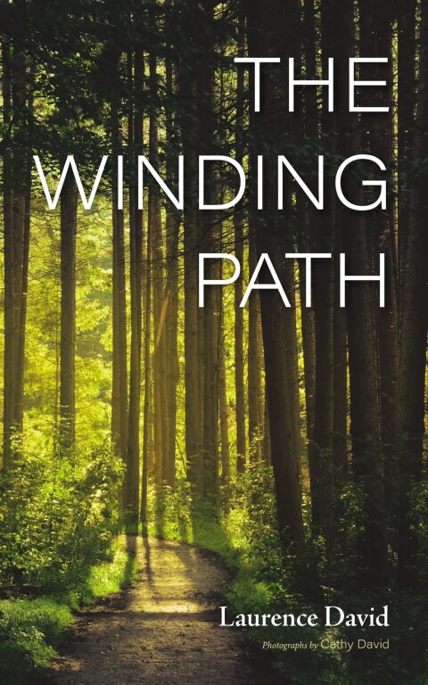 Cover image for book The Winding Path