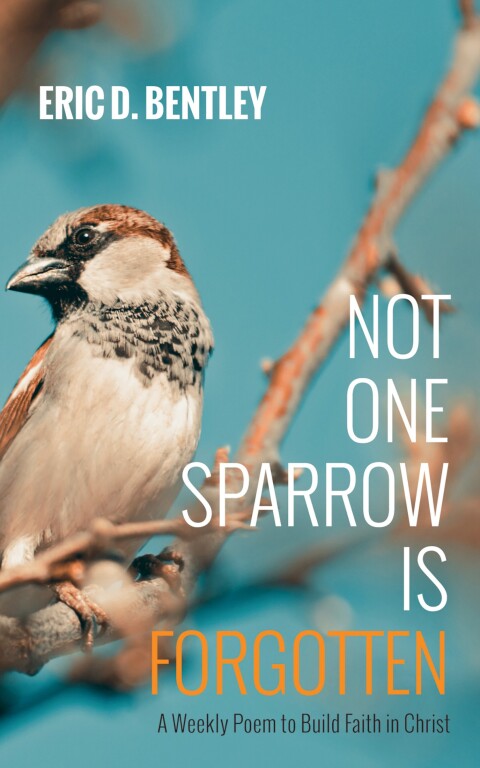 Cover image for book Not One Sparrow Is Forgotten