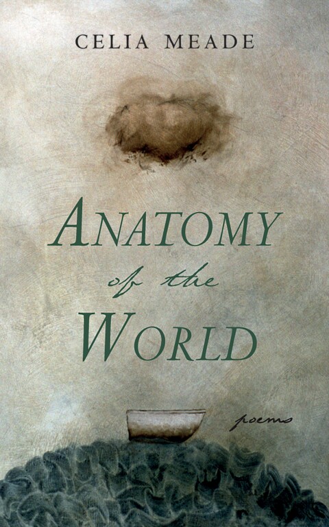 Cover image for book Anatomy of the World