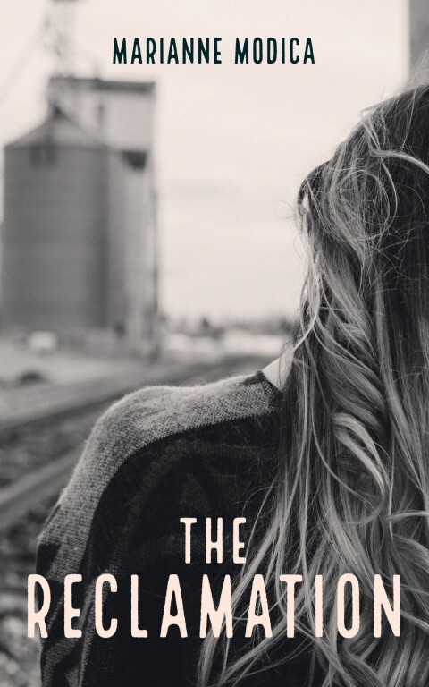 Cover image for book The Reclamation