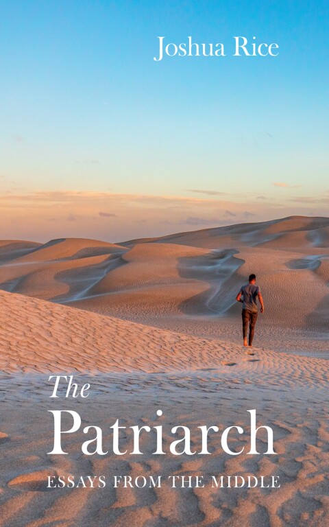 Cover image for book The Patriarch