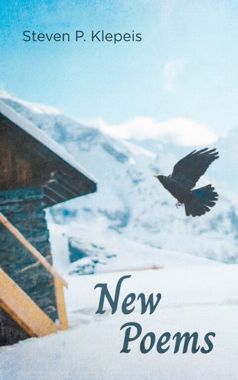 Cover image for book New Poems