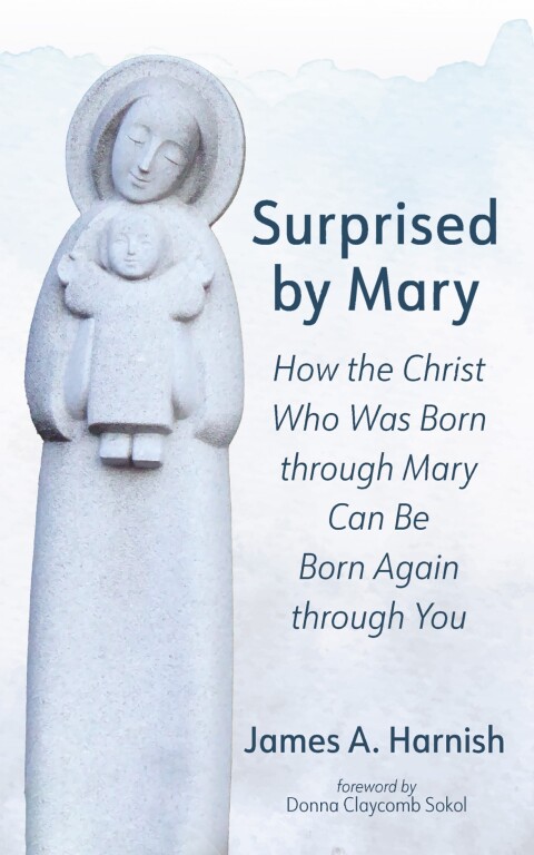 Cover image for book Surprised by Mary