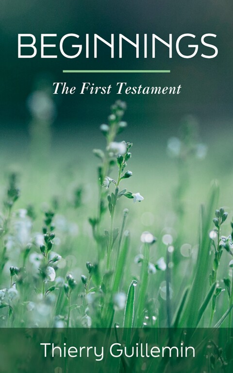 Cover image for book Beginnings