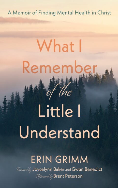 Cover image for book What I Remember of the Little I Understand