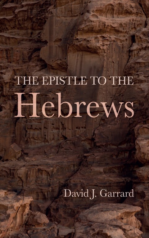 Cover image for book The Epistle to the Hebrews