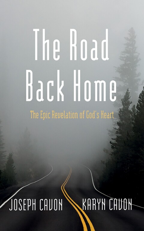 Cover image for book The Road Back Home