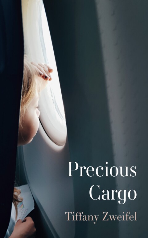 Cover image for book Precious Cargo