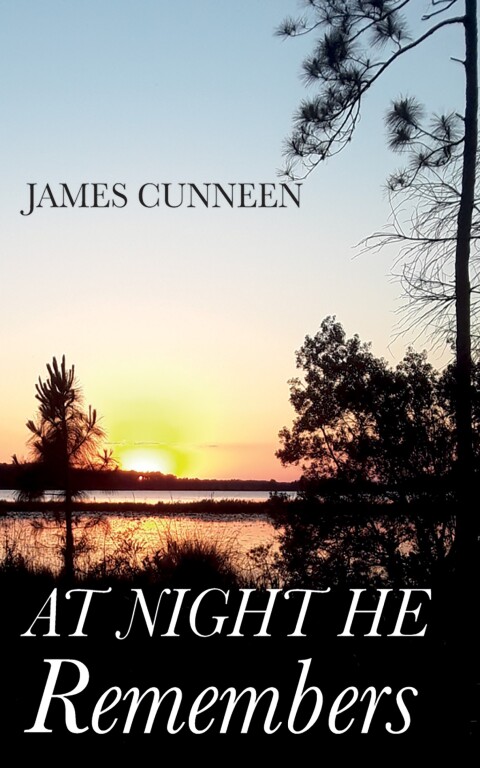 Cover image for book At Night He Remembers