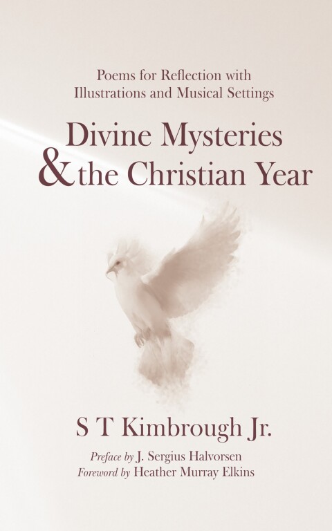 Cover image for book Divine Mysteries and the Christian Year
