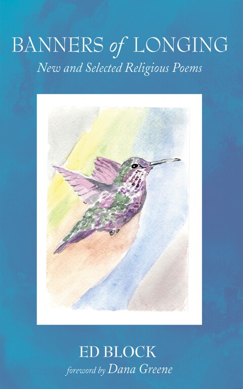 Cover image for book Banners of Longing